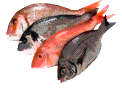 carnes